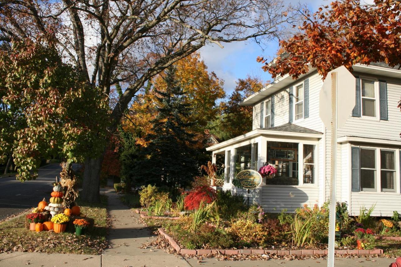 Serendipity Bed And Breakfast Saugatuck Esterno foto